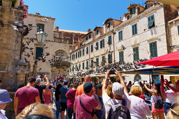a crowd of tourists takes pictures of a flock of pigeons on the street of the old town of Dubrovnik...