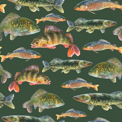 Watercolor illustration, seamless pattern with fresh fishes, perch, pike, Crucian fish, carp, grayling animal isolated on a sap green background.