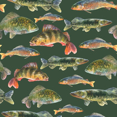 Fototapeta premium Watercolor illustration, seamless pattern with fresh fishes, perch, pike, Crucian fish, carp, grayling animal isolated on a sap green background.