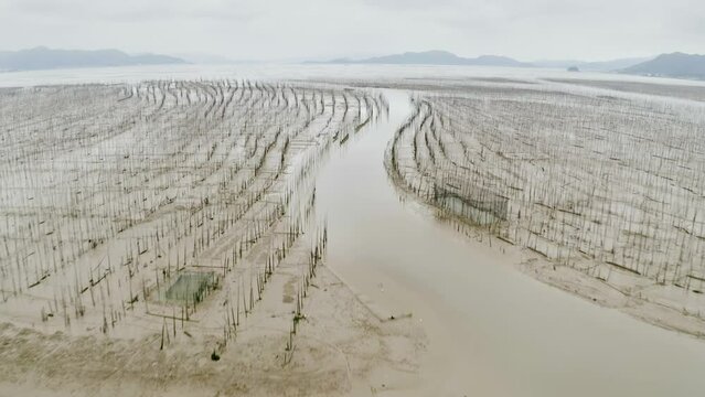 Aerial shot of small fishing town on the coast of Xiapu County in China. The bamboo poles are for drying seaweed.