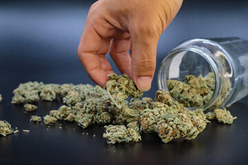 hand holding marijuana on a black background
concept of smoking and relaxing