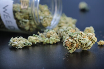 marijuana or weed flowers on black background