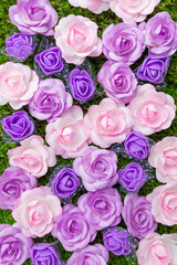 Pink and purple Bed Flowers vertical background