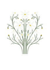 Symmetrical bouquet of daisies with leaves and buds on white background. Digital illustration for postcards, greeting cards, clothes prints, notebook covers