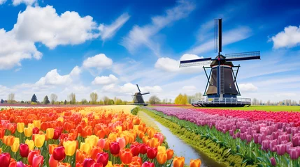 Fotobehang Panorama of landscape with blooming colorful tulip © Data