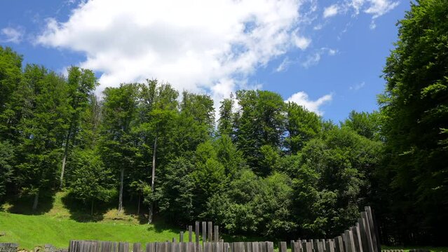 4K wide angle video, pan camera movement, with a tree in foreground at Sarmizegetusa Regia historical landmark fortress from Romania.