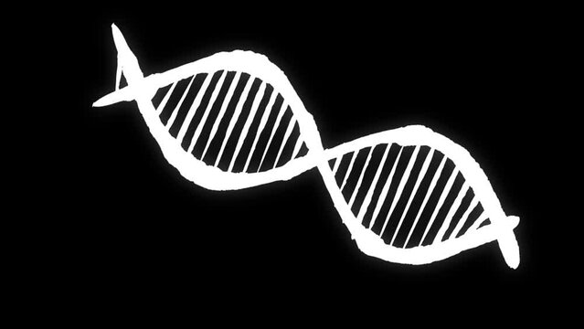 DNA molecules, dna model isolated on black background