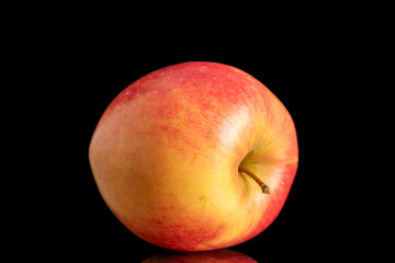 One red organic apple, macro, isolated on white background.