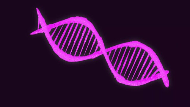 4k video pink dna helix icon, 3d render of dna structure, abstract animation background. 4k hd video