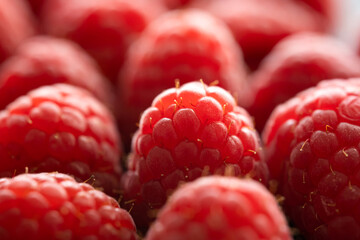 Fresh red raspberries macro shot
