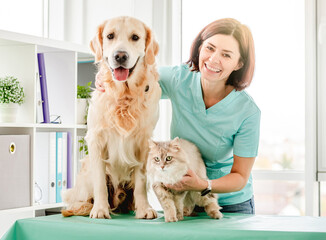Smiling woman veterinarian with golden retriever dog and fluffy cat at work in clinic - obrazy, fototapety, plakaty