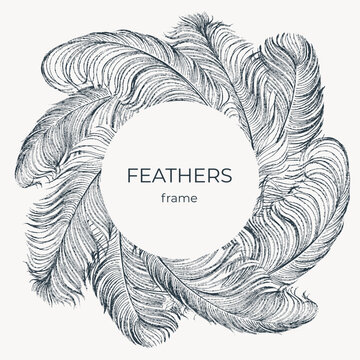 Label, cover pattern with delicate ostrich feathers. 