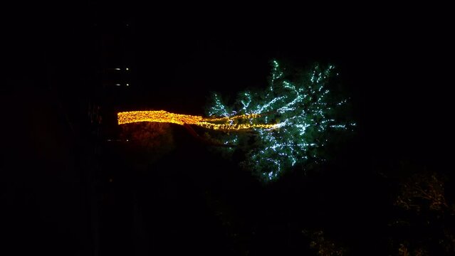 A tree in garlands glows at night. A tree near the shore decorated with light bulb decorations. Vertical video.