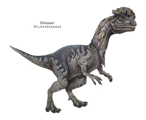 Dilophosaurus illustration. Dinosaur with crest on head. Grey dino - 624700698