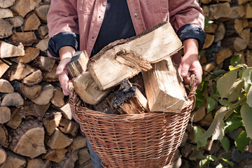 Male hands hold a large wicker basket of firewood. Preparing firewood for the winter.