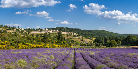 Fototapeta na wymiar Perched Provence village of Aurel with lavender fields. Summer in Vaucluse, France