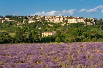 Naklejka na ściany i meble Provence village of Sault perched on top of plateau with lavender fields. Summer in Vaucluse, France
