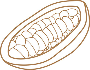 bean of cocoa outline