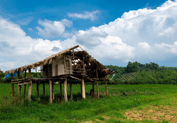 The Old hut on the field, be desolate hut ,old hut in the Field on mountain background, Old cottage...