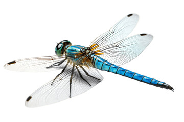 An Insect Dragonfly Bug Isolated on a Transparent Background. Generative AI - obrazy, fototapety, plakaty