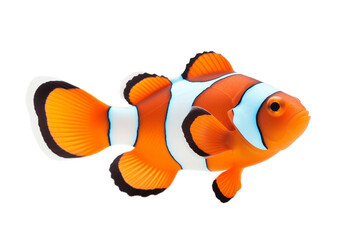 Isolated Clownfish, Ocean Marine Animal on Transparent Background. Generative AI