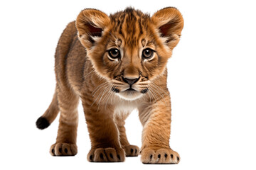 Fototapeta na wymiar Isolated Lion Cub Sitting on a Transparent Background. Generative AI