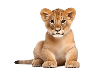 Obraz na płótnie Canvas Isolated Lion Cub Sitting on a Transparent Background. Generative AI