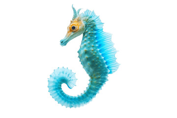 Isolated Seahorse: Ocean Marine Animal on Transparent Background. Generative AI - obrazy, fototapety, plakaty