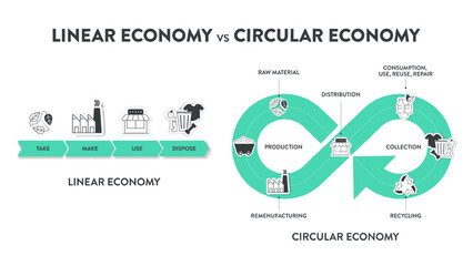 The vector infographic diagram of the difference between the circular economy and linear economy. Compare linear and circular infographics for presentations or banners for websites. Economy concepts. - obrazy, fototapety, plakaty