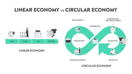 Foto op Plexiglas The vector infographic diagram of the difference between the circular economy and linear economy. Compare linear and circular infographics for presentations or banners for websites. Economy concepts. © Whale Design 