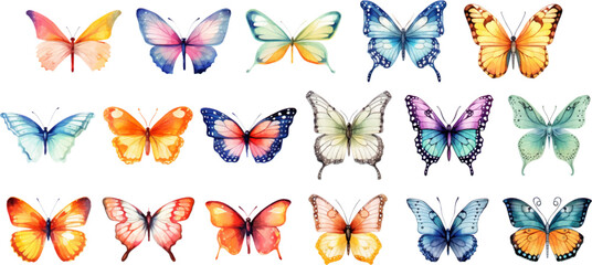 Watercolor set of bright vector hand painted butterflies white background