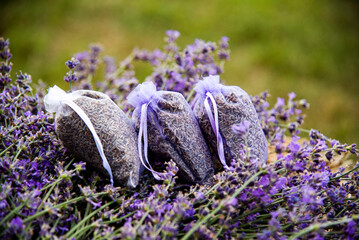 lavender seeds in transparent bags on freshly cut lavender branches and hay. aroma sachet