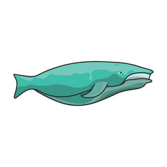 Whale vector icon.Color vector icon isolated on white background whale.