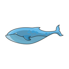 Blue whale vector icon.Color vector icon isolated on white background blue whale.