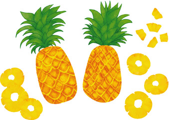 水彩タッチ　パイナップルセット