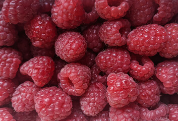 Fresh juicy Raspberries on the table. close up raspberry in the container. autumn harvest. healthy food. Pink ripe berries, sweet natural diet snack