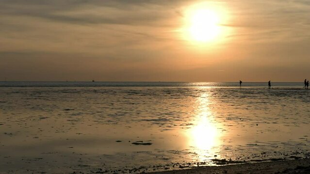 People walking in the mudflats near Buesum at sunset, Schleswig-Holstein, Germany, Europe
