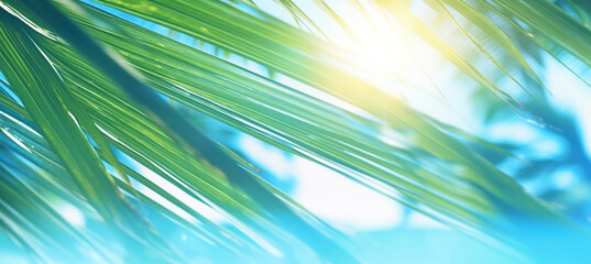 Obraz premium Abstract blur defocused background, toned gently blue, nature of tropical summer, rays of sun light