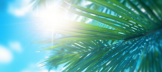 Obraz premium Abstract blur defocused background, toned gently blue, nature of tropical summer, rays of sun light