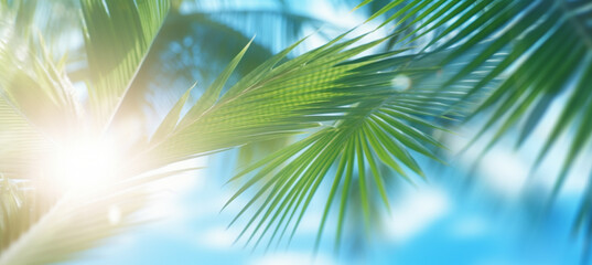 Obraz premium Abstract blur defocused background, toned gently blue, nature of tropical summer, rays of sun light