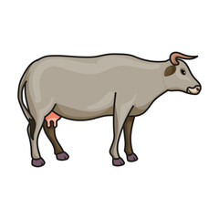 Cow of animal vector icon.Color vector icon isolated on white background cow of animal.