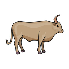 Cow of animal vector icon.Color vector icon isolated on white background cow of animal.