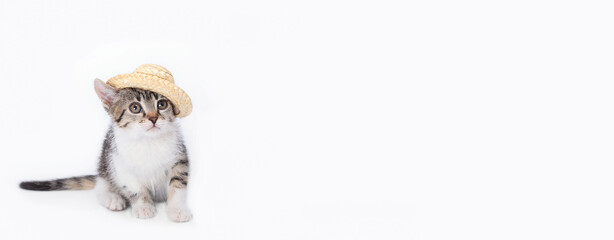 Kitten in a straw hat looking at camera. Concept of adorable little pets. Sea. Cute cat ready for vacation summer holiday. Greeting card. Copy space for text. Tiny Kitten on a white background