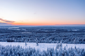 winter landscape