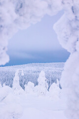 landscape with snow