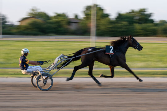 Trotting Racehorses And Rider On A Stadium Track. Competitions For Trotting Horse Racing. Horses Compete In Harness Racing. Horse Running On The Track With The Rider. Motion Blur-Panning.
