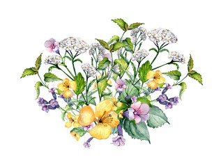 Bouquet of wild medicinal plant, herbs watercolor illustration isolated on white background. Achillea millefolium, nettle, pulmonaria, celanine flower hand drawn. Design for label, package, postcard