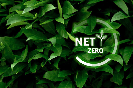 Neutral And Net Zero Fresh Air Concept Natural Environment Climate-neutral Long-term Strategy Emissions Target With Green Mesh Icon Centered On Hand Cover And Green Background.