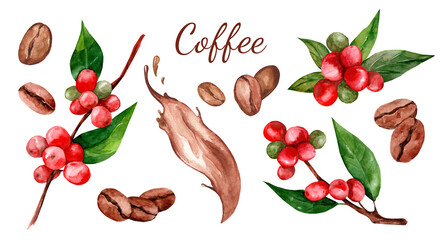 Set of red arabica coffee beans on a branch with flowers isolated, watercolor illustration on white background