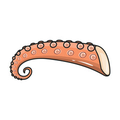 Shrimp vector icon.Color vector icon isolated on white background shrimp .